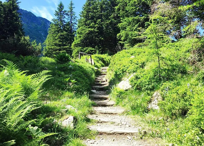 Σαλέ Wolkenheim *